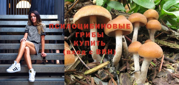 прущая мука Арсеньев