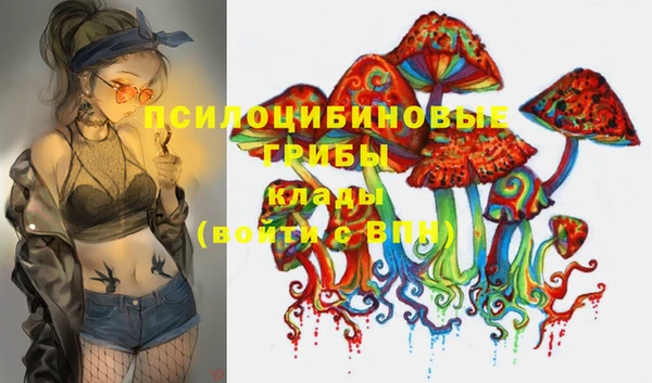 кокс Аркадак