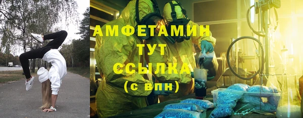 прущая мука Арсеньев